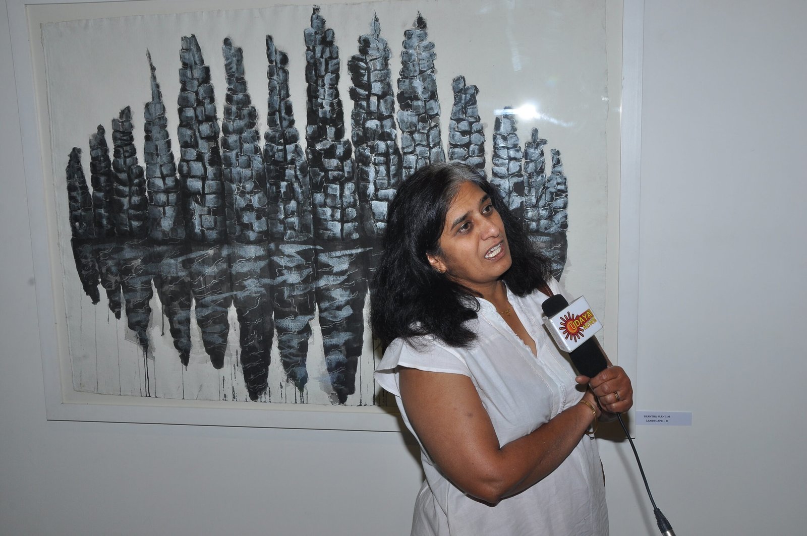 Shanthananj Muddhaiah, Contemporary Artist